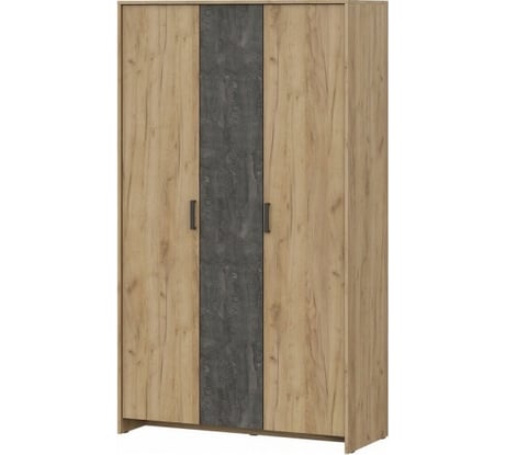 Шкаф трехстворчатый для одежды Арника Лофт 00-00029193