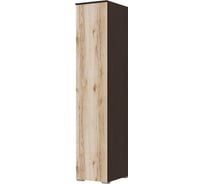 Шкаф-пенал Арника Плейона, венге 00-00142939