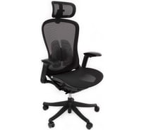 Кресло KSG SPARX Enigma Plus Black (A99-HS) (Mesh, черный) НФ-00000757