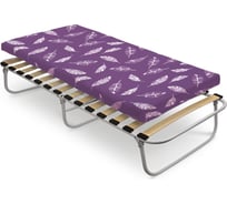 Кровать раскладная с ортопедическим основанием и мягким гипоаллергенным матрасом Nika НИКА РК6-М РК6-М/Г с графическими перьями