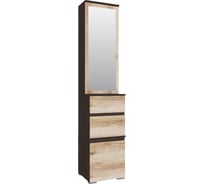 Прихожая Арника Плейона Тумба с ящиками венге/дуб делано 00-00142790