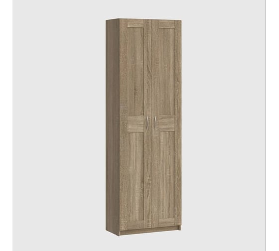 Шкаф ШВЕДСКИЙ СТАНДАРТ МАКС 2 двери, 100x38x233, сонома RU 2.06.01.060.3 1