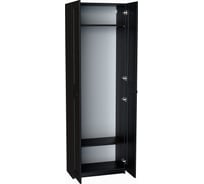 Шкаф Гуд ЛАКК МАКС 2 двери, 75x38x233, дуб венге RU 2.06.01.040.5