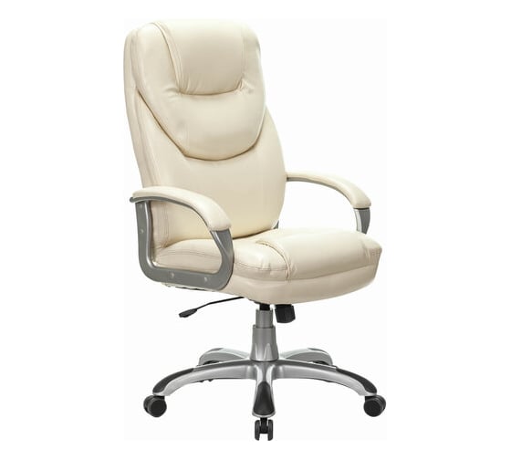 Компьютерное офисное кресло руководителя BRABIX PREMIUM Nord EX-590, экокожа, 532098