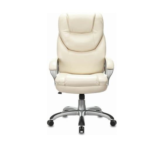 Компьютерное офисное кресло руководителя BRABIX PREMIUM Nord EX-590, экокожа, 532098