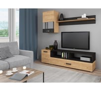 Готовая гостиная Алонсо дуб золотой / венге Woodville 398920