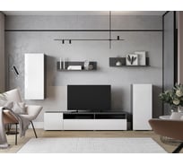 Гостиная Арника Лира серый графит/белый, ЛДСП Н1447032