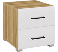 Тумба Арника Ненси, дуб золотой крафт/белый глянец Н1447051