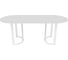 Овальный стол с металлическим подстольем GENGLASS VIOLUR  GGT-20-3-3-20090 1