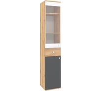 Шкаф МЦН Арника Лойс 82 00-00025547