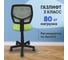 Кресло компьютерное детское Стул Груп ЛОЛО Pet Lover, зеленый 5256D Pet green 7