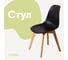 Стул пластиковый DERSTUHL Grand Wood Eames, черный DSL010.010 1