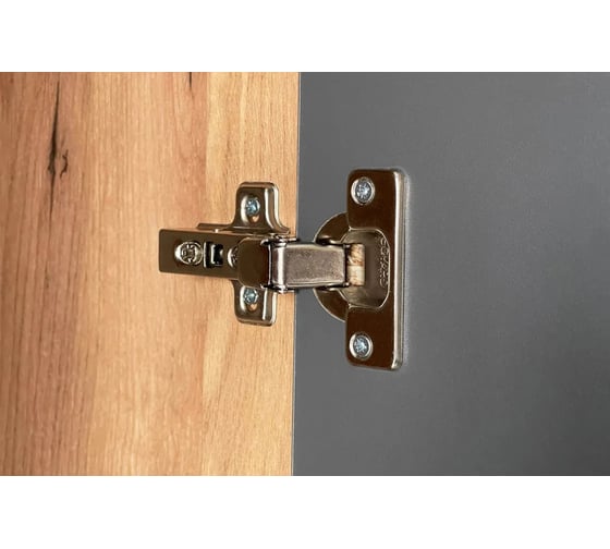 Шкаф двухдверный Адам дуб крафт золотой/графит MSA-03.2564