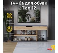 Тумба для обуви Тип 12 / Графит Серый/Дуб Крафт Золотой ТриЯ 263017