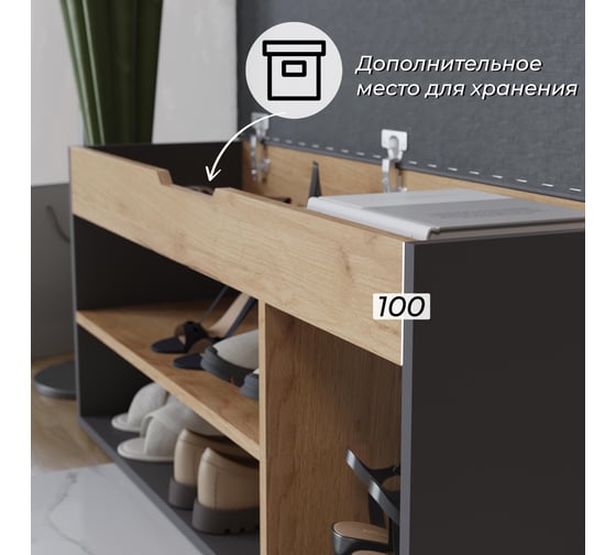 Тумба для обуви Тип 12 / Графит Серый/Дуб Крафт Золотой ТриЯ 263017