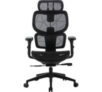 Кресло CACTUS CS-MC555-BK черный сетка с подголовником крестовина пластик 2003196