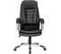Кресло руководителя Хорошие кресла Robert 2206Н black 1