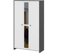 Шкаф трехстворчатый Арника Дольче, Графит/Белый 00-00164700