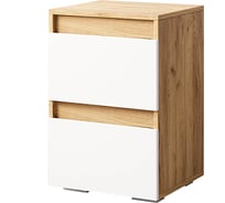 Тумба Арника Селфи ТБ-22 00-00103816