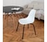 Стул пластиковый DERSTUHL Elegant Black Eames, Белый DSL038.001 7