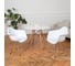 Комплект стульев пластиковых DERSTUHL 4 шт Chrom Eames, белый, DSL05.001.4 2