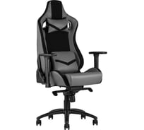 Компьютерное игровое кресло Стул Груп TopChairs Racer Premium, серое SA-R-2102 grey
