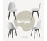 Комплект стульев пластиковых DERSTUHL 4 шт Plast Dark Grey Eames, белый, DSL044.301.4 1