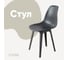 Стул пластиковый DERSTUHL Plast Dark Grey Eames, темно-серый DSL044.303 1