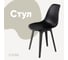 Стул пластиковый DERSTUHL Plast Dark Grey Eames, черный DSL044.310 1