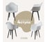 Комплект стульев пластиковых DERSTUHL 4 шт Plast Dark Grey Eames, белый, DSL045.301.4 1