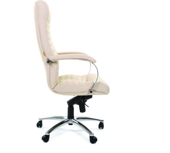 Компьютерное кресло CHAIRMAN 480 экокожа Terra 101 бежевый 00-06101857
