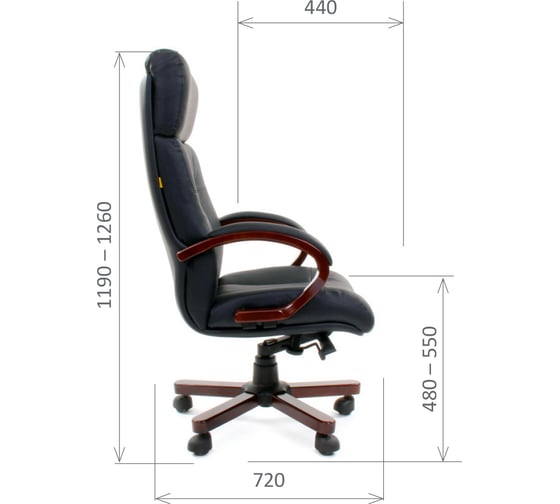 Компьютерное кресло CHAIRMAN 421 кожа черная 00-06082595