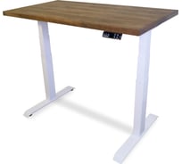 Стол двухмоторный с регулируемой высотой StolStoya ТИТАН подстолье белое и столешница МДФ шпон дуб мореный 160x80 SE221IWDM16080