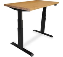 Стол двухмоторный с регулируемой высотой StolStoya ТИТАН PRO подстолье черное и столешница МДФ шпон дуб европейский 160x80 SE232ВDE16080