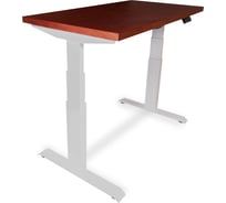 Стол двухмоторный с регулируемой высотой StolStoya ТИТАН PRO подстолье белое и столешница МДФ шпон Красное дерево 160x80 SE232WKD16080