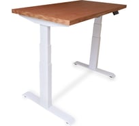 Стол двухмоторный с регулируемой высотой StolStoya ТИТАН PRO подстолье белое и столешница МДФ шпон дуб европейский 120x65 SE232WDE12065