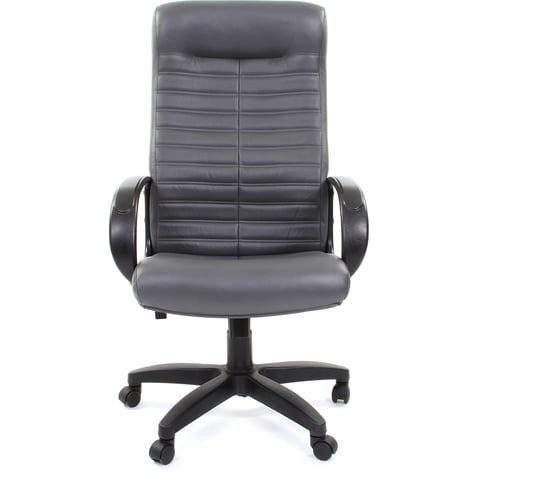 Компьютерное кресло CHAIRMAN 480 LT кожзам Terra 117 серый 00-07000846
