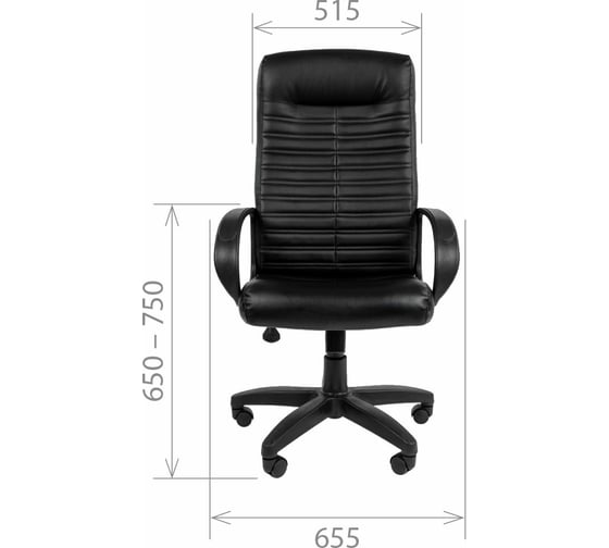 Компьютерное кресло CHAIRMAN 480 LT экопремиум черный 00-07000191