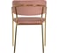 Стул Hesby Whispered Fusion розовый, золотой комплект 2 шт, HSBI_DC72_dustyrose_2 3