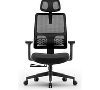 Эргономичное компьютерное кресло FoxGear NETZ модель E, черный FG-NETZ-E-BK