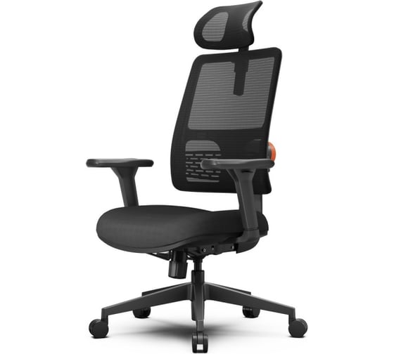 Эргономичное компьютерное кресло FoxGear NETZ модель E, черный FG-NETZ-E-BK