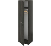 Шкаф Монолит Дублин для одежды (550x400x1980) (ДБ99_1+ДБ99_2) Дерево карбон12 ДБ99.12