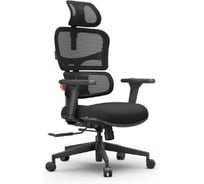 Эргономичное компьютерное кресло FoxGear NETZ модель X - office edition FG-NETZ-XO-BK