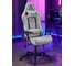 Кресло геймерcкое EVOLUTION TACTIC PRO Grey 24