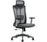 Кресло компьютерное EVOLUTION ErgoLine 4 Grey 4812755009612 1