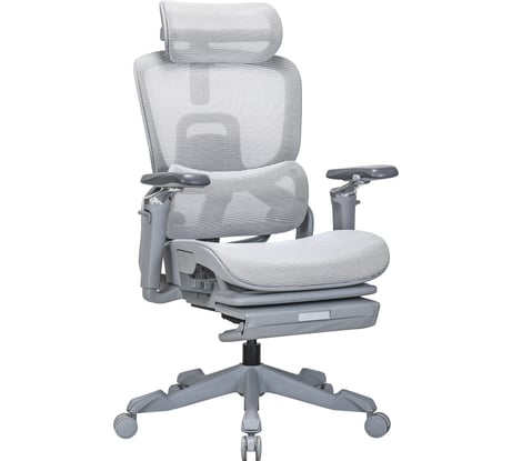 Кресло компьютерное EVOLUTION ZX 2 4812755009490