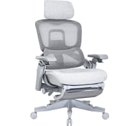 Кресло компьютерное EVOLUTION ZX 1 4812755009483