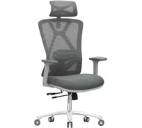 Кресло компьютерное EVOLUTION EXO F1 Grey 4812755005935