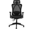 Кресло Byroom Office Flame Black CY8028-2P-B 1