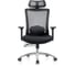 Кресло компьютерное EVOLUTION ERGO PRIME Black 1